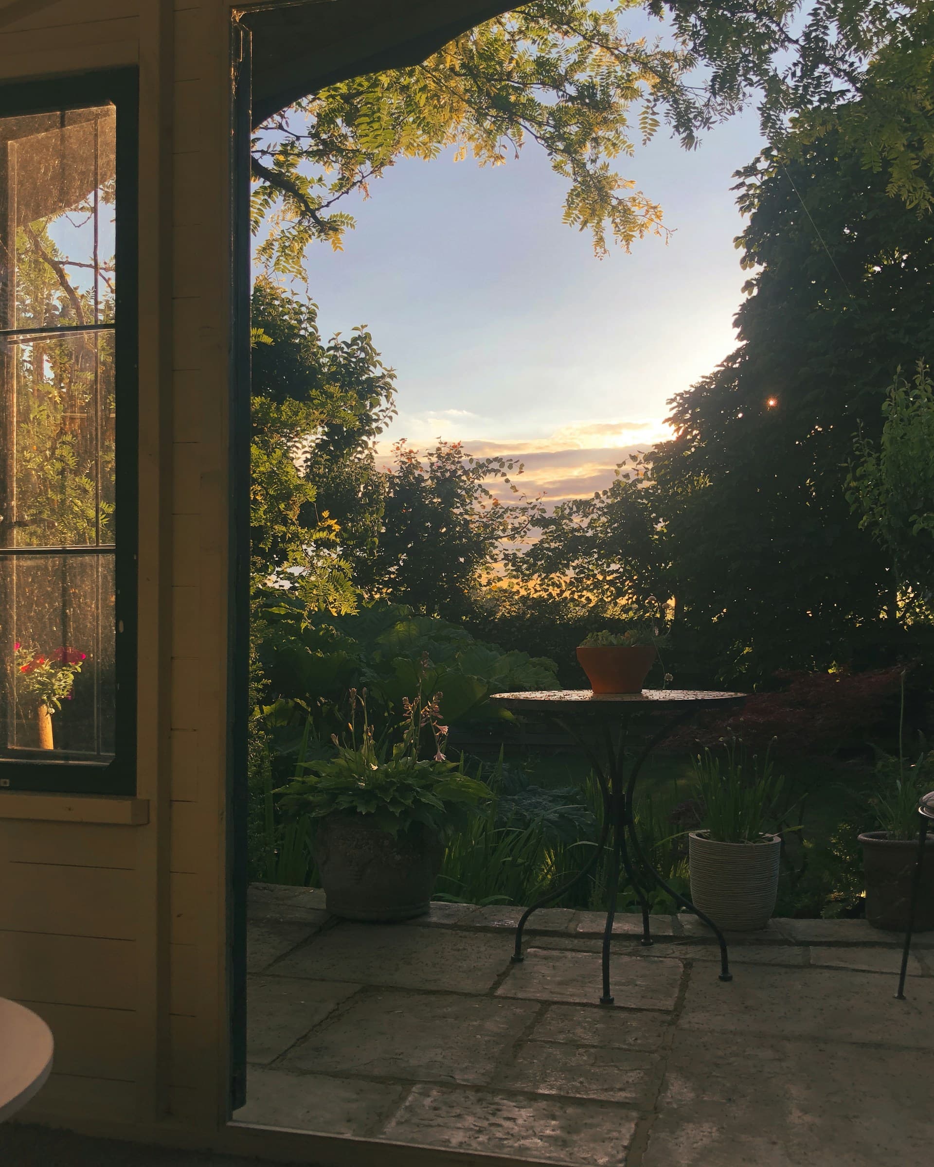 We are thrilled to announce a new era of TAE